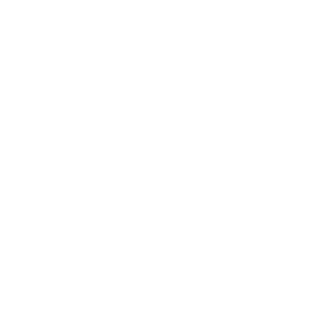 100% Expert Team-01