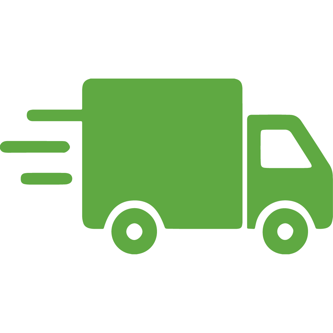 Fast delivery-01